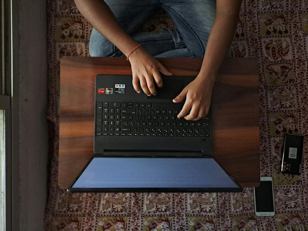 How to Safely Integrate Your Adopted Greyhound with Existing Pets at Home